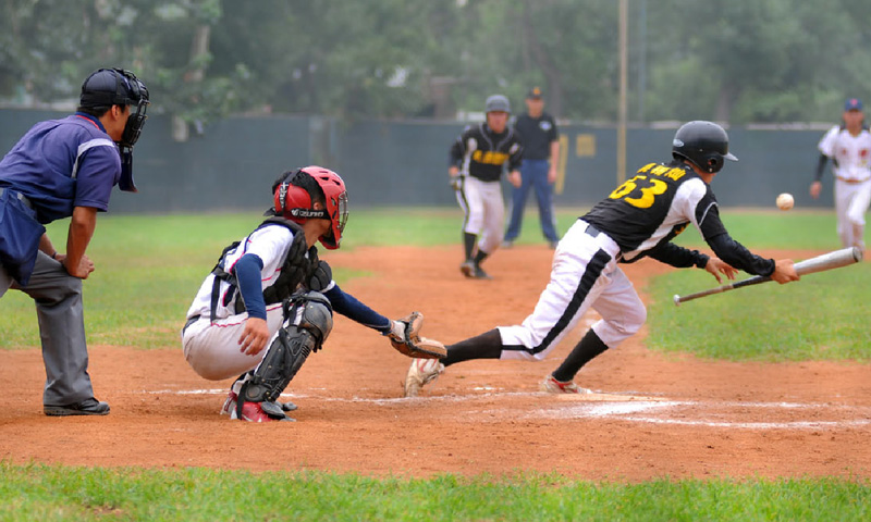 棒球體驗(yàn)主題