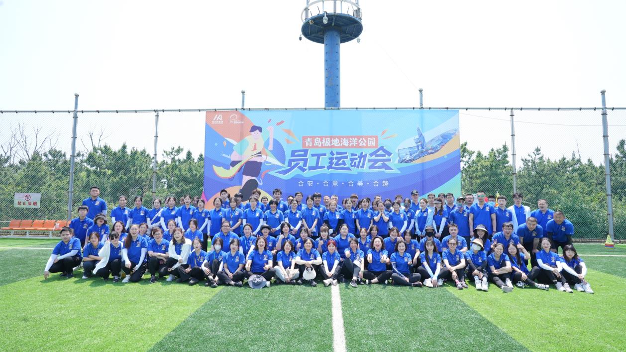 青島拓展|青島拓展訓(xùn)練|定制化團(tuán)隊(duì)建設(shè)服務(wù)-青島眾行遠(yuǎn)管理咨詢(xún)